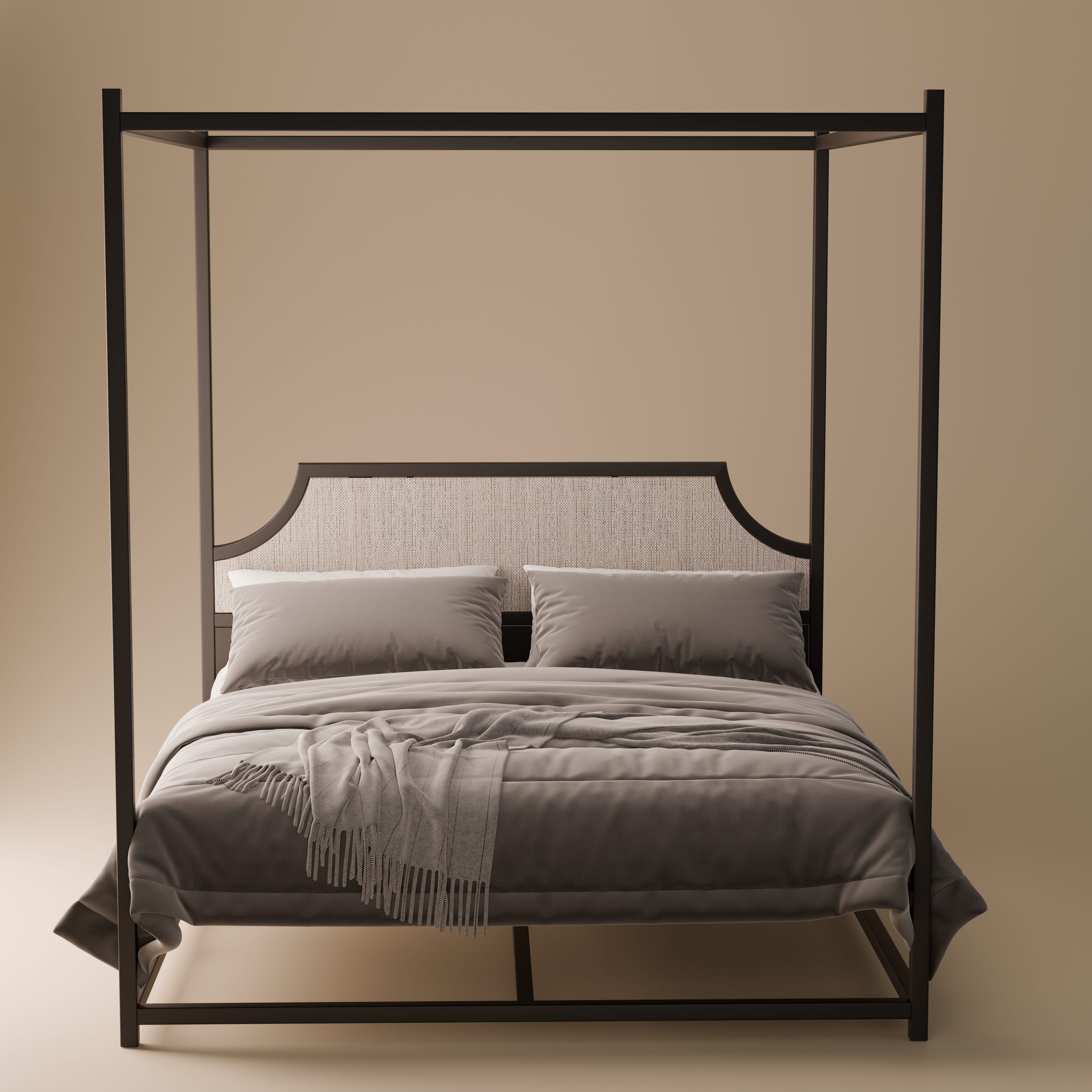 Metal Canopy Bed