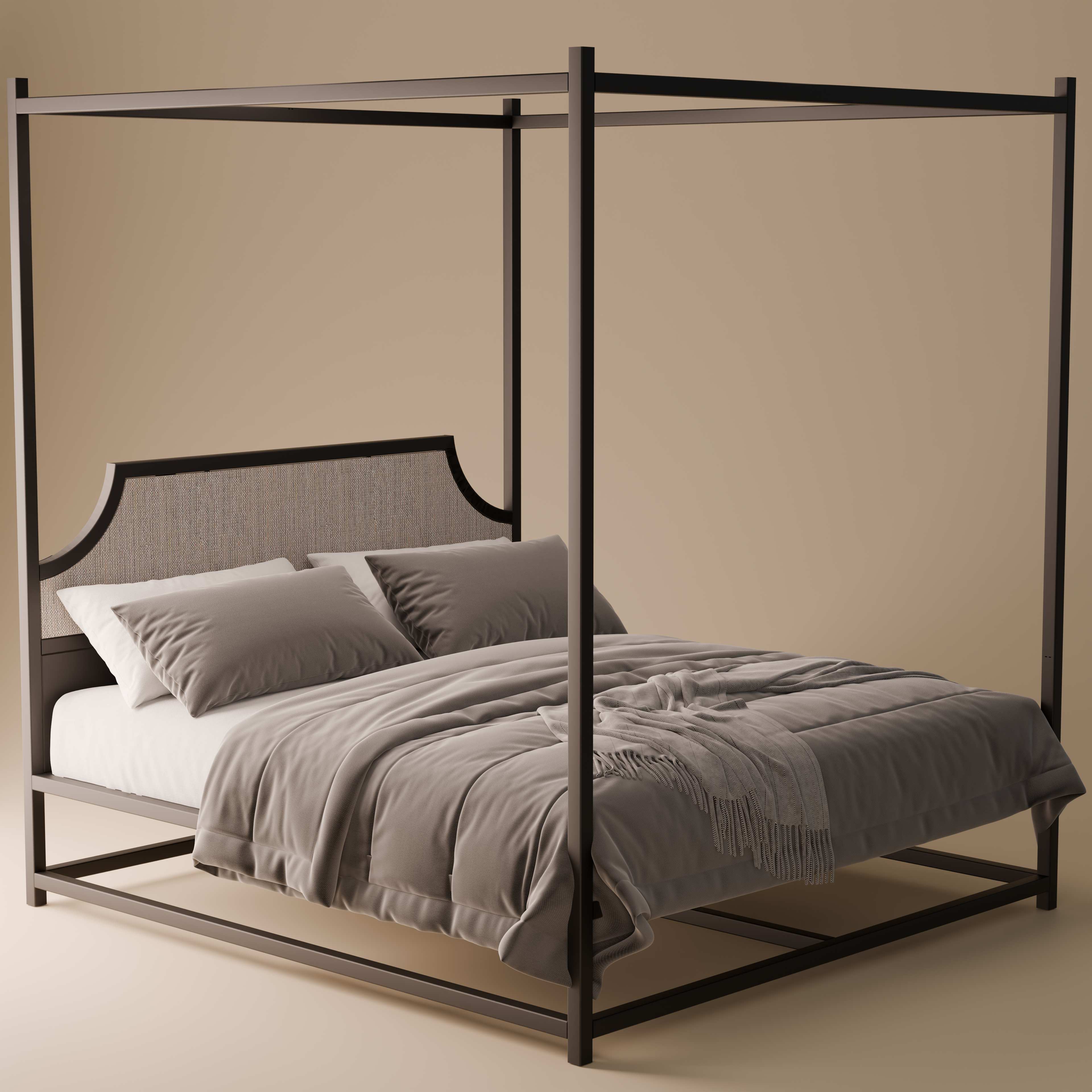 Metal Canopy Bed